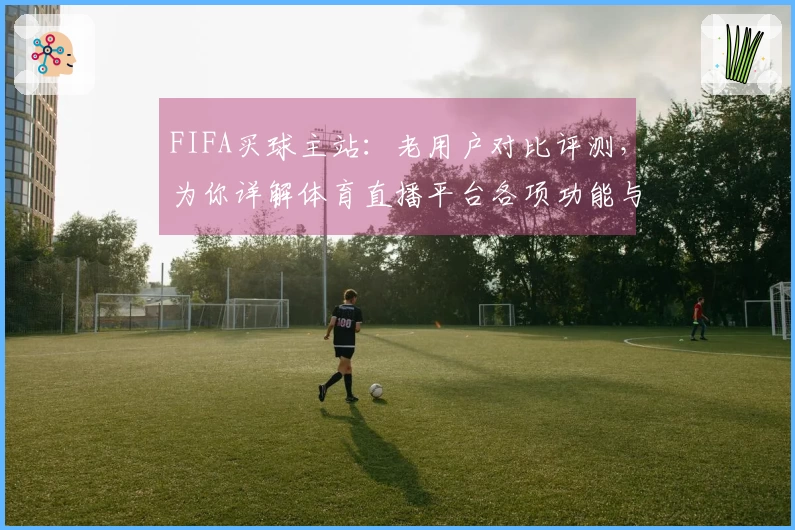 FIFA买球主站：老用户对比评测，为你详解体育直播平台各项功能与体验