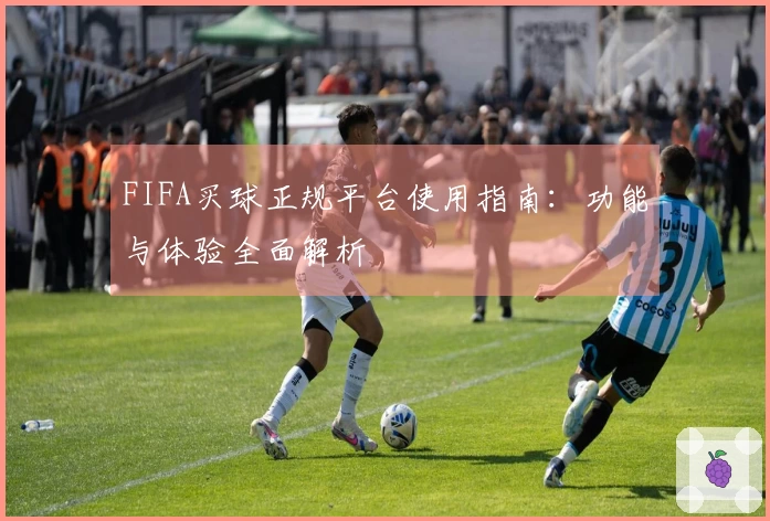 FIFA买球正规平台使用指南：功能与体验全面解析