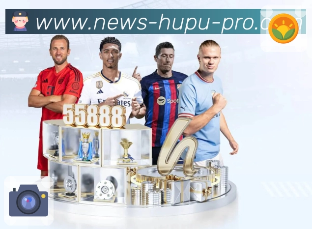 平台荣誉证书展示